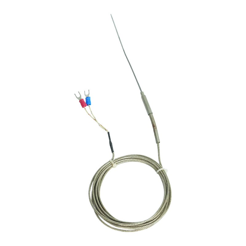Ummanteltes Thermoelement