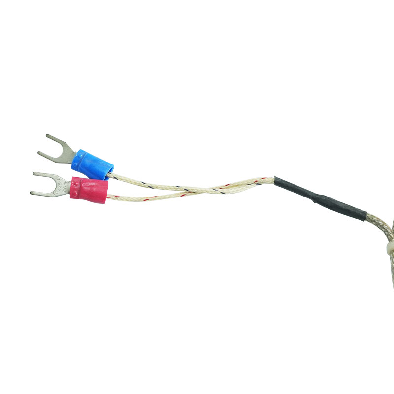 Ummanteltes Thermoelement