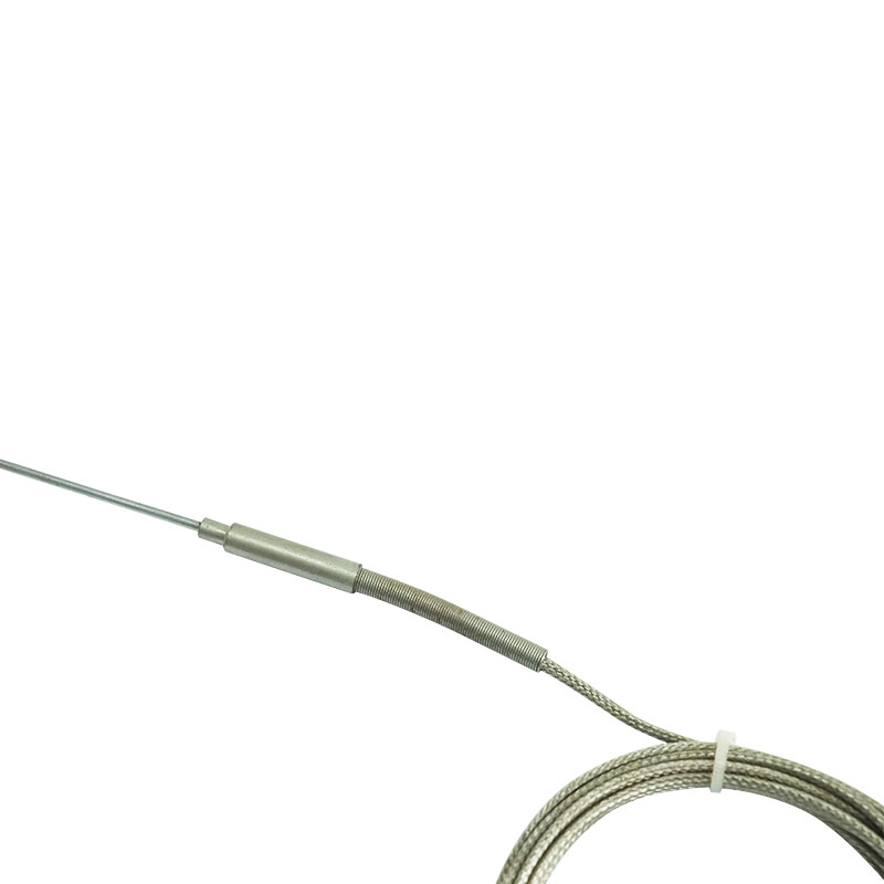 Ummanteltes Thermoelement