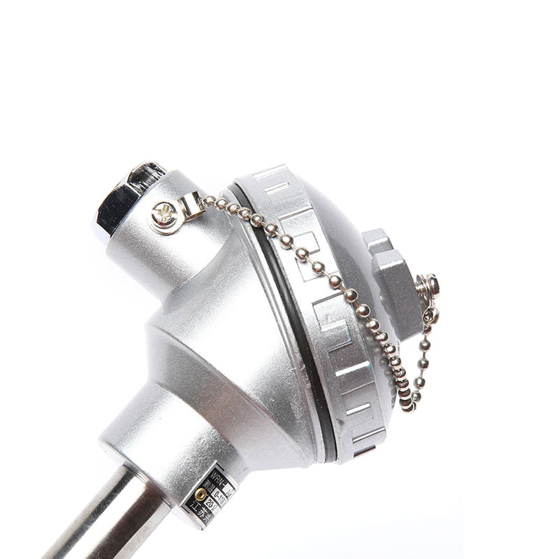 0,2–0,4 mm Drahtdurchmesser Typ S/B/R Platin-Rhodium-Thermoelement-Ofen-Hochtemperatur-Sensorsonde für geschmolzene Metalle