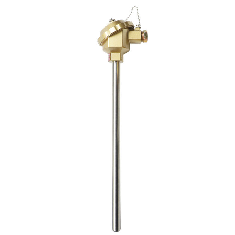 Isoliertes, wasserdichtes, verschleißfestes Thermoelement aus Edelstahl, 1800 °C K-Typ-Thermoelement, PT100 RTD-Typ-Sonden-Thermoelement
