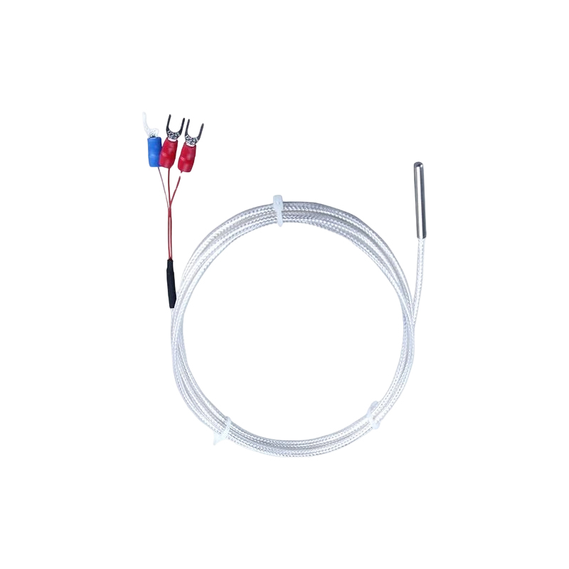 Industrieller PT100 RTD-Temperatursensor, 3-Draht-Platin-Thermistor, 50-mm-Thermoelementsonde