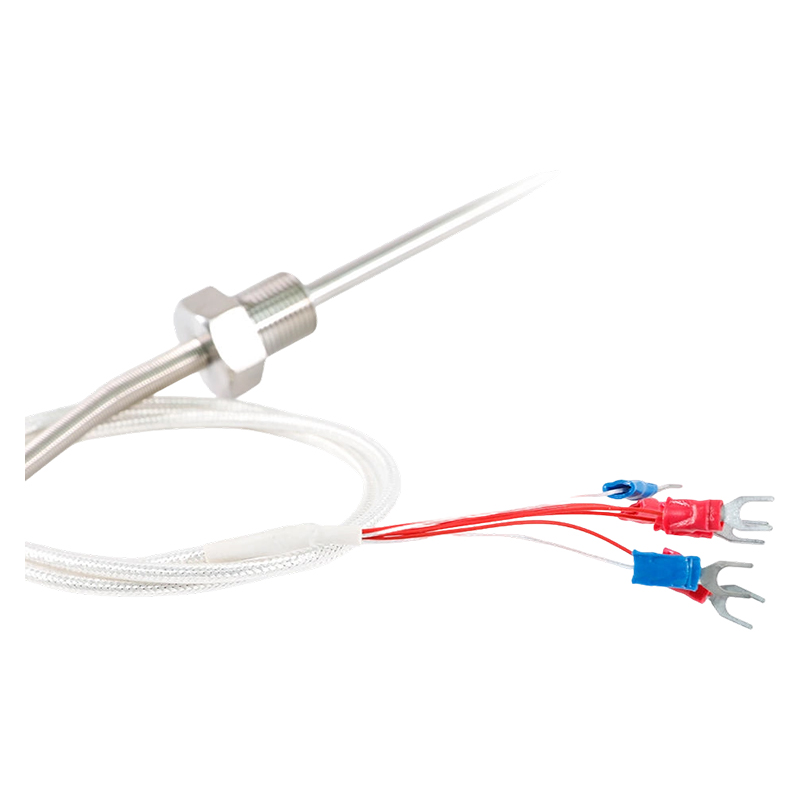 Direkt ab Werk – 200 ~ 450 °C Klasse A 316 Rtd Pt100 Temperatursensor Platin-Widerstandsthermometer Sonde 1/2 Zoll Gewindethermometer