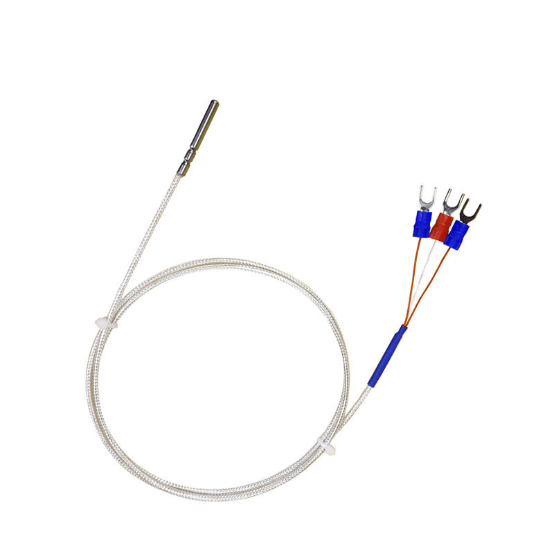 WZP-035 PT100 Sonde 5 × 35 mm Kabel 1–20 m Platin-Widerstandsthermometer RTD Korrosionsbeständiger wasserdichter Korrosionsschutz-Temperatursensor